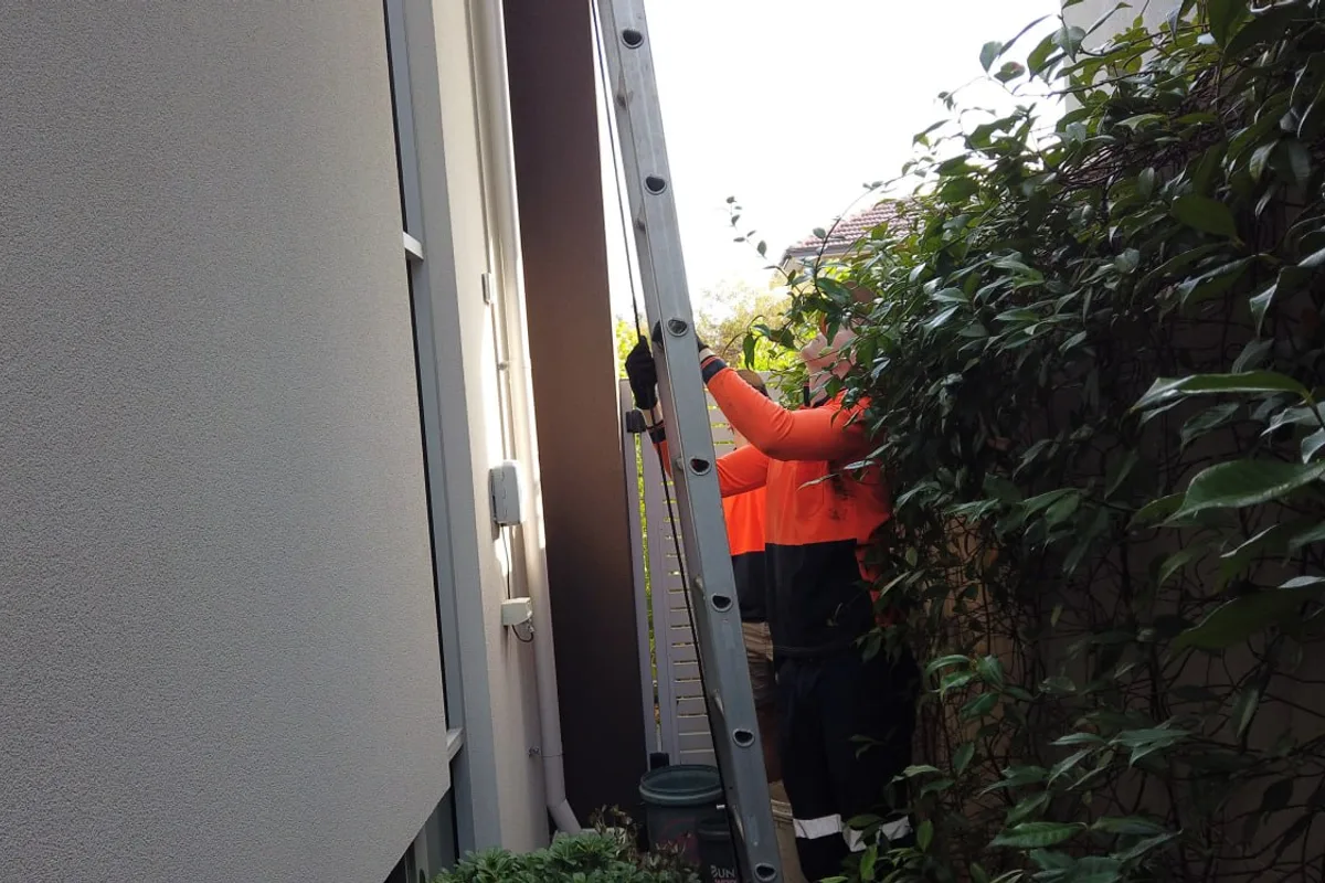 A technician on a ladder reaching a gutter in a narrow side access on a Perth home