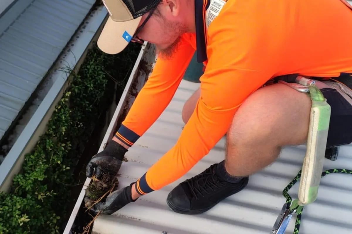 A harnessed Perth Gutter Cleaning Pros technician clearing debris from a gutter on a metal roof