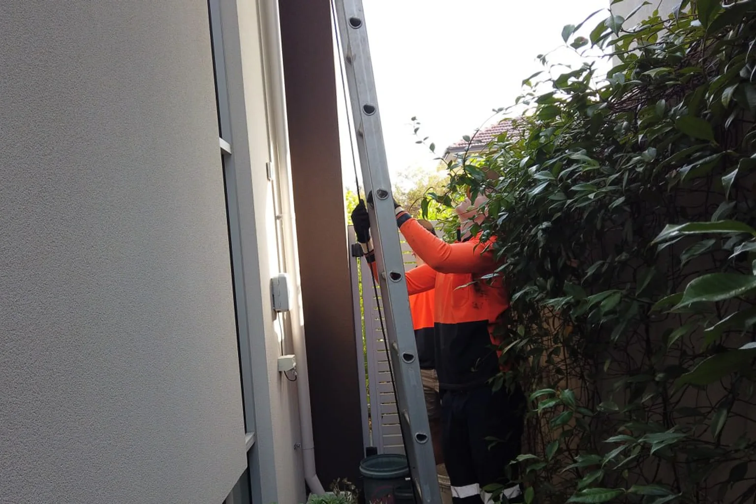 Commercial Gutter Cleaning in Perth