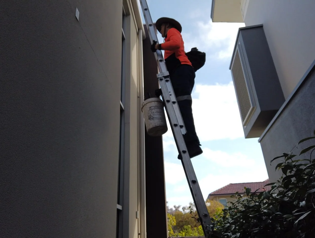 Perth Gutter Cleaning Pros team member climbing a ladder to clean gutters at height