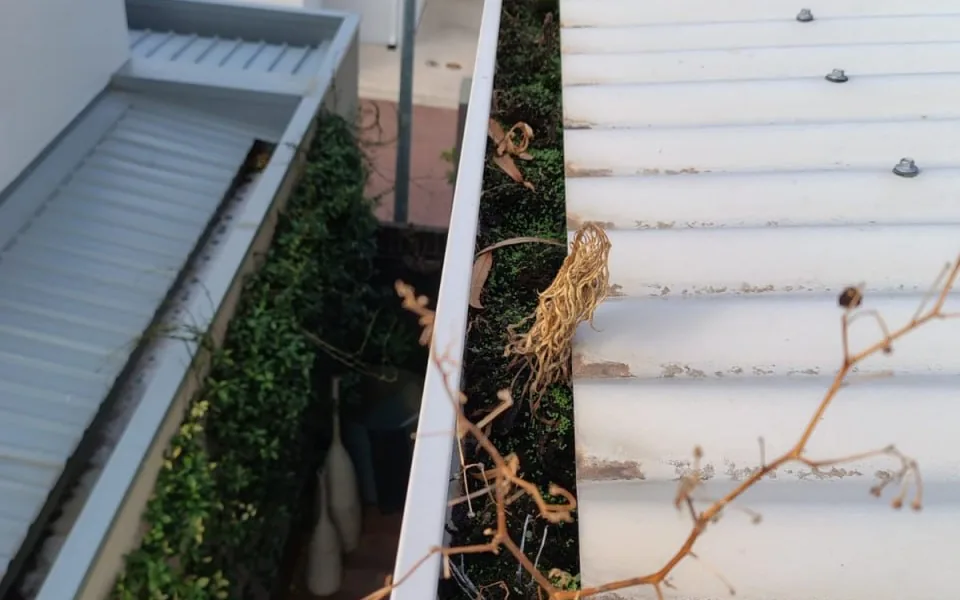Blocked Gutter Cleaning in Perth