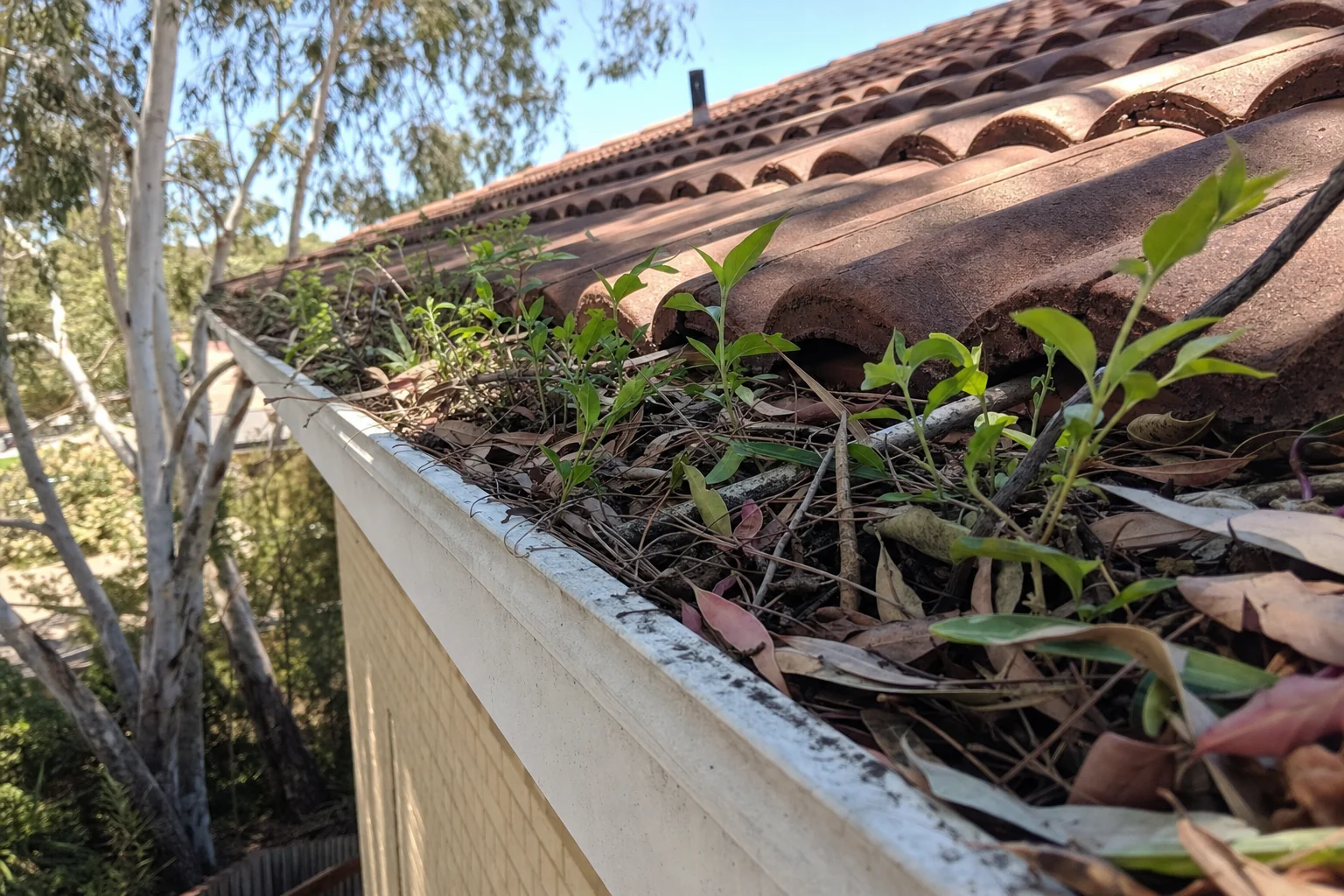 Blocked Gutter Cleaning in Perth