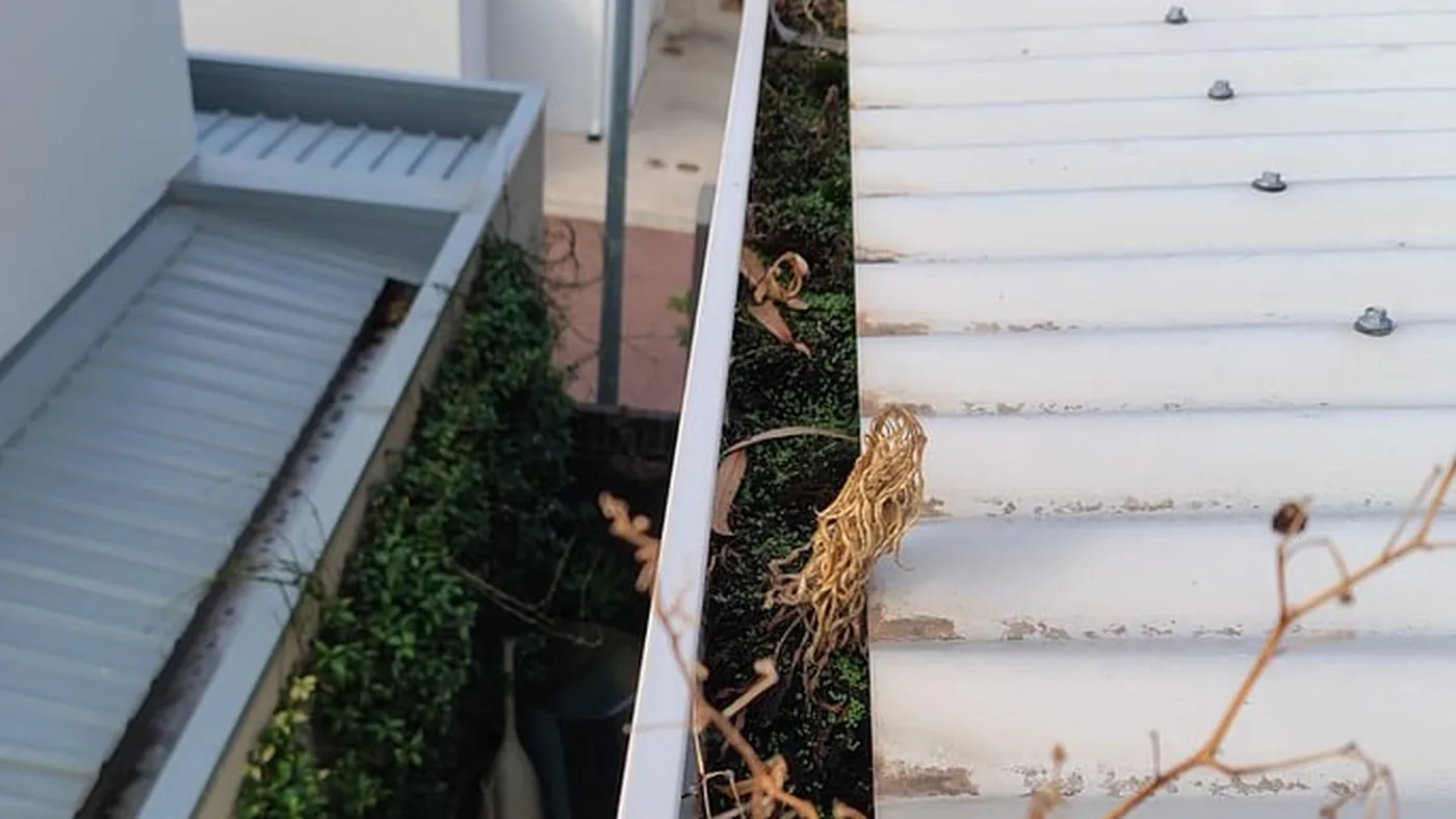 Roof & Gutter Cleaning in Perth