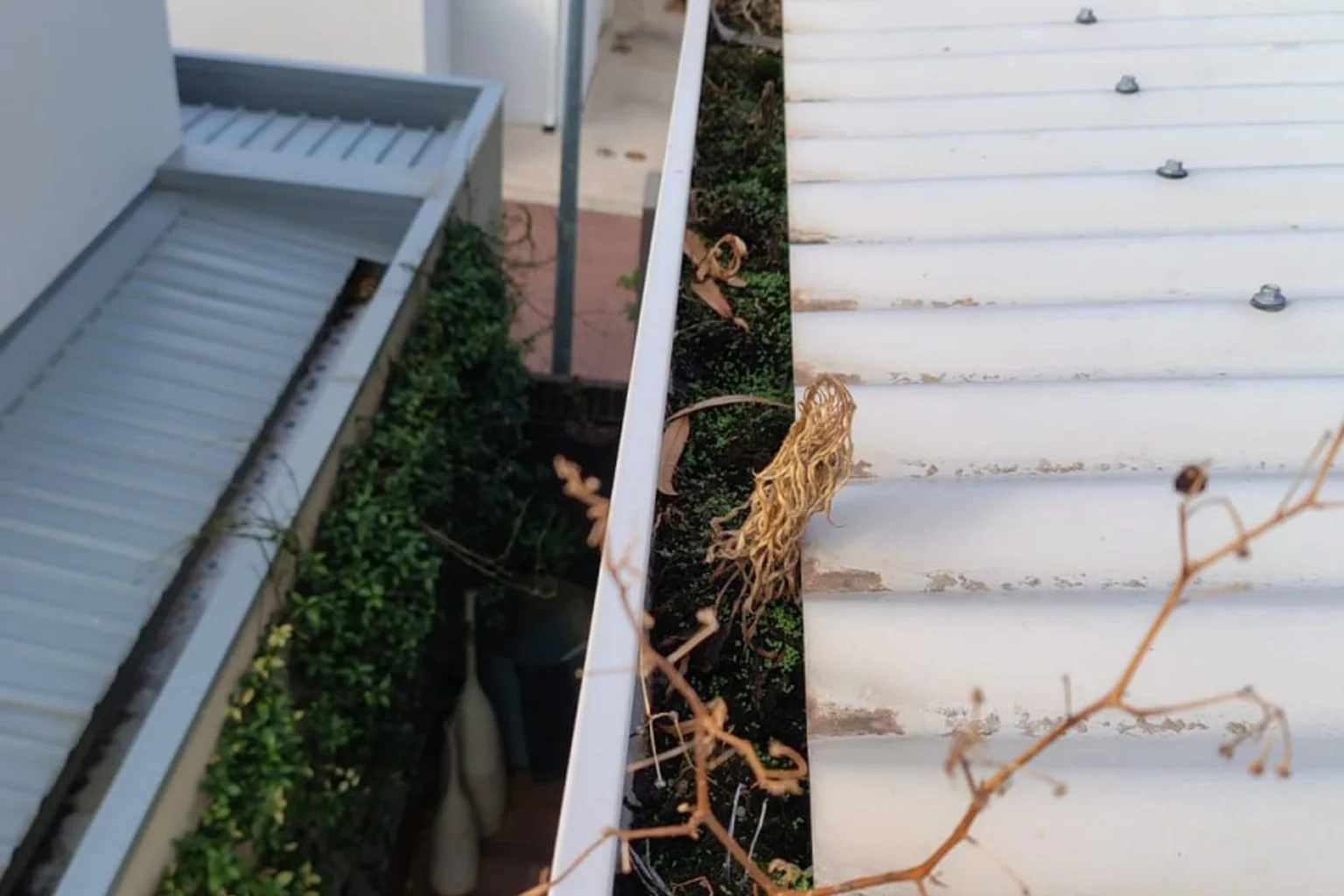 Gutter vacuum clearing a blocked Perth gutter into a bin